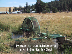 Irrigation screen installed on a ranch in the Stanley Basin